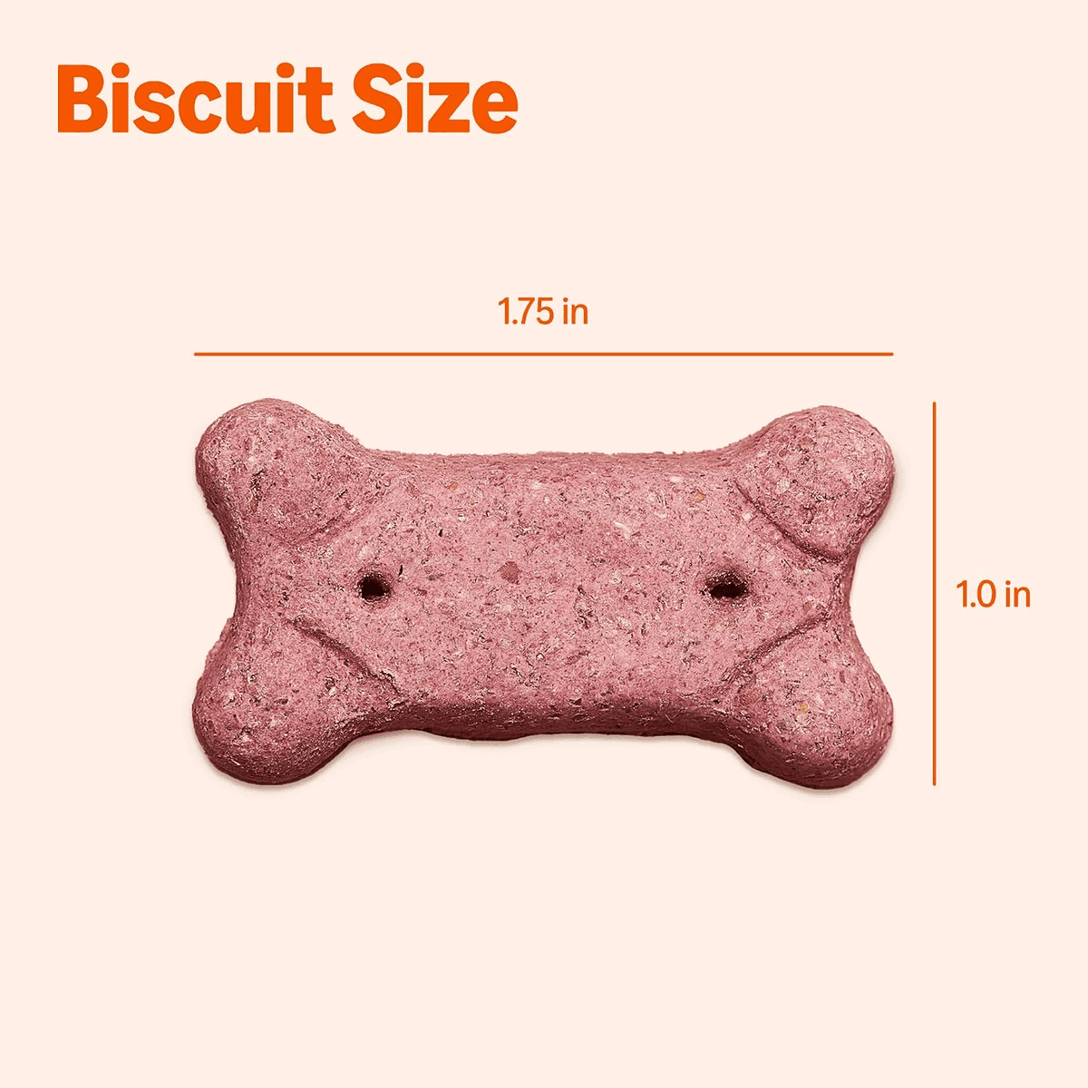 Amazon Basics Multi-Flavor Crunchy Dog Biscuits, 5 lb Box image 5