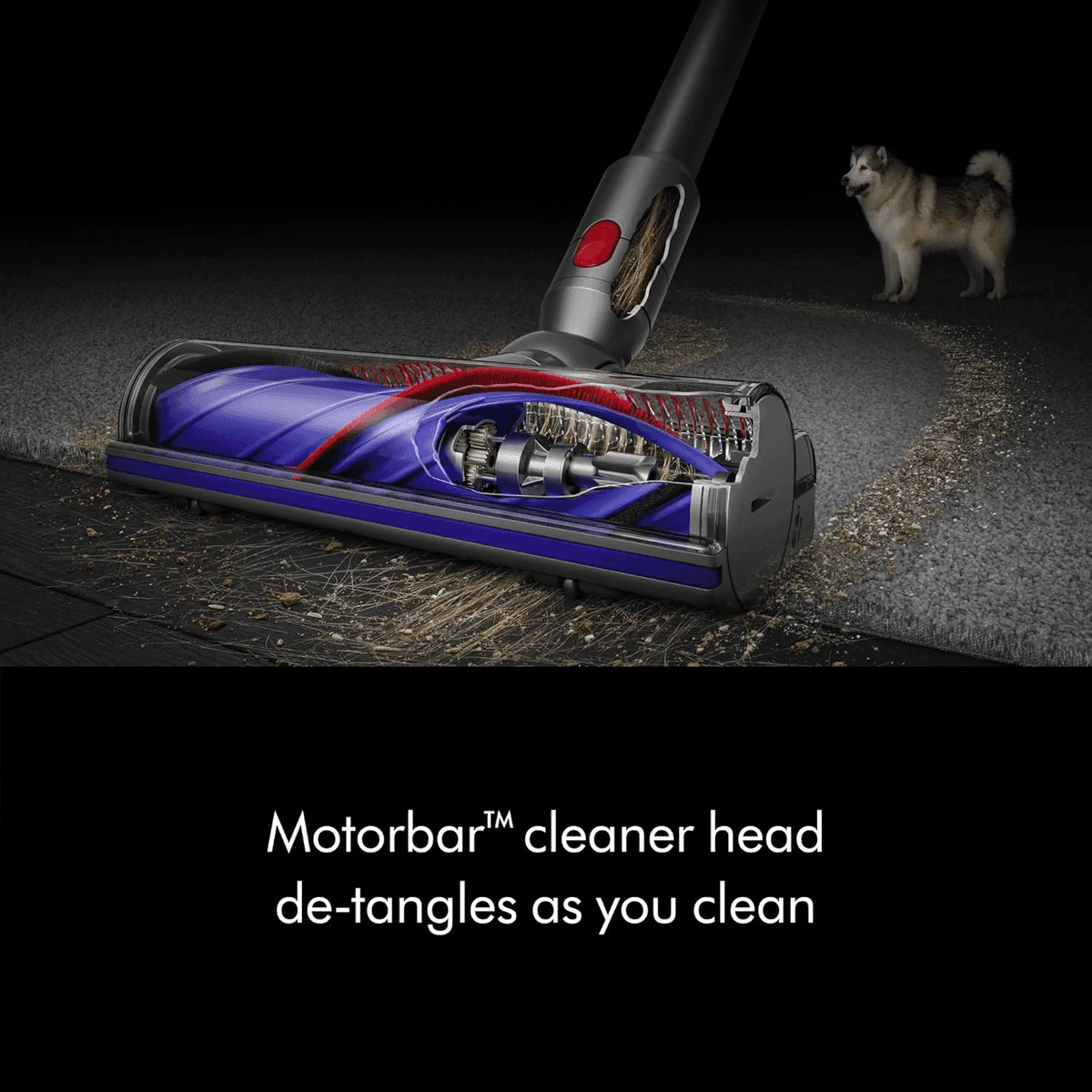 Dyson V8 Cordless Vacuum image 3