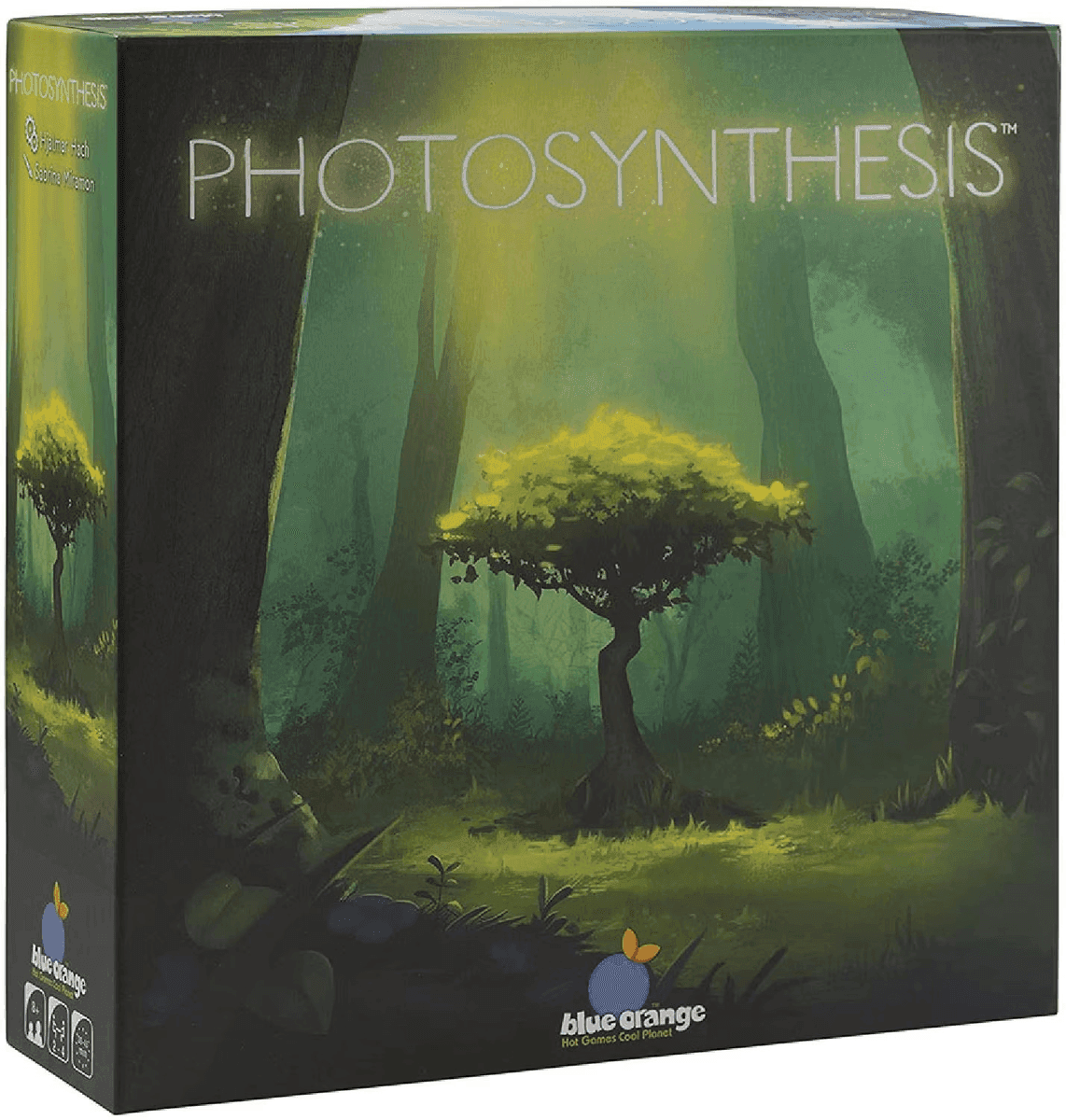Blue Orange Photosynthesis Board Game