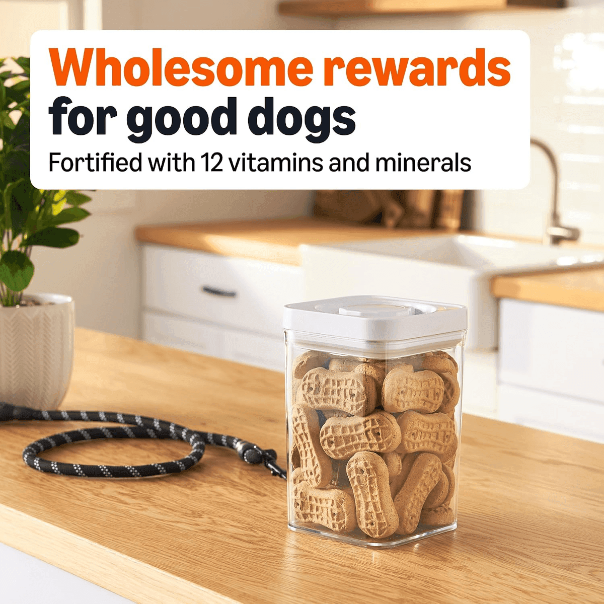 Amazon Basics Peanut Butter Dog Biscuits, 5 lb Box image 3