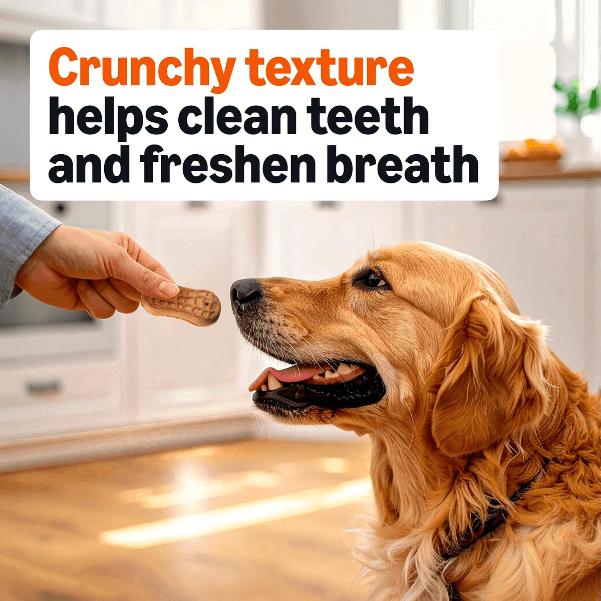 Amazon Basics Peanut Butter Dog Biscuits, 5 lb Box image 4