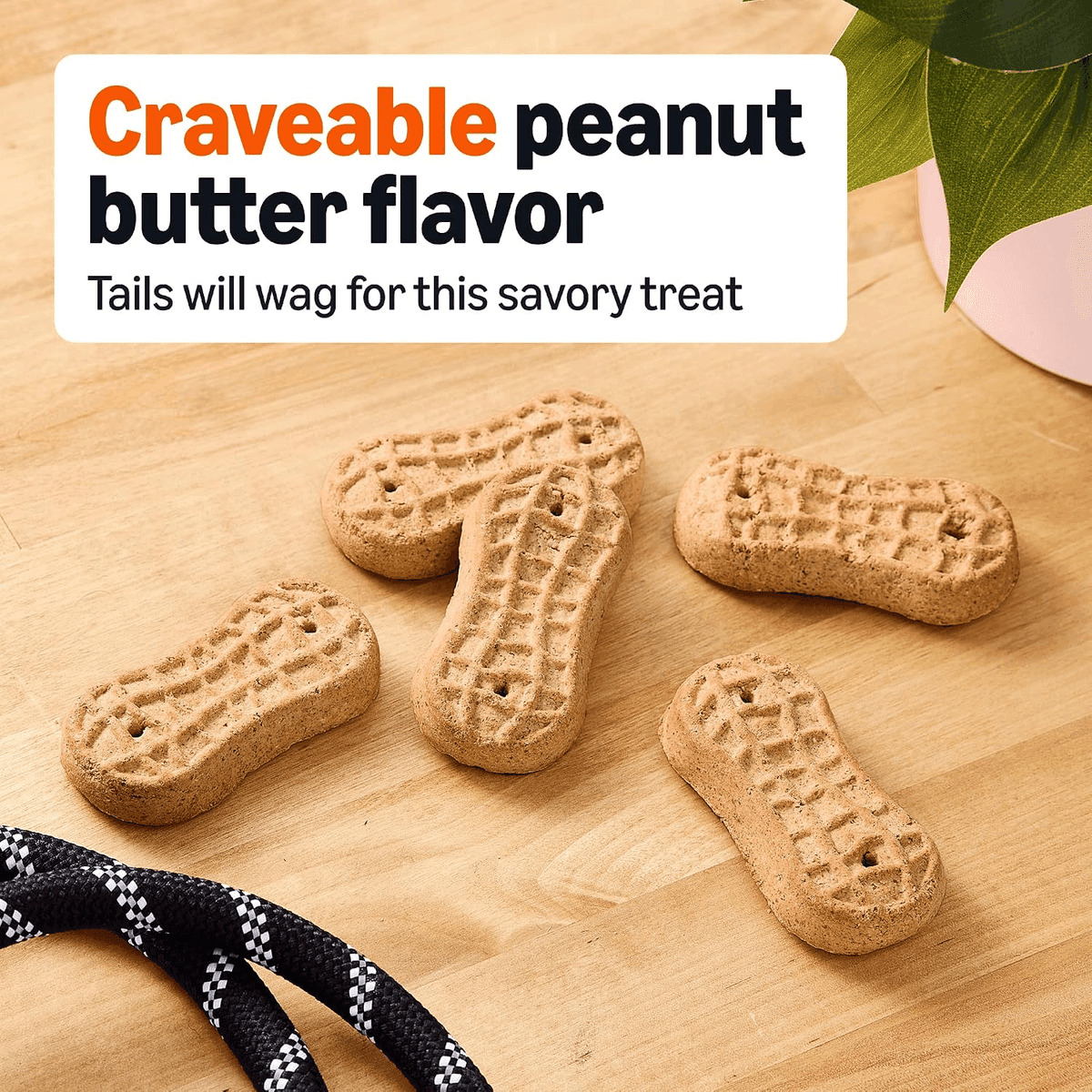 Amazon Basics Peanut Butter Dog Biscuits, 5 lb Box image 2