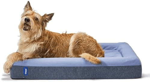 Casper Memory Foam Dog Bed, Medium, Blue