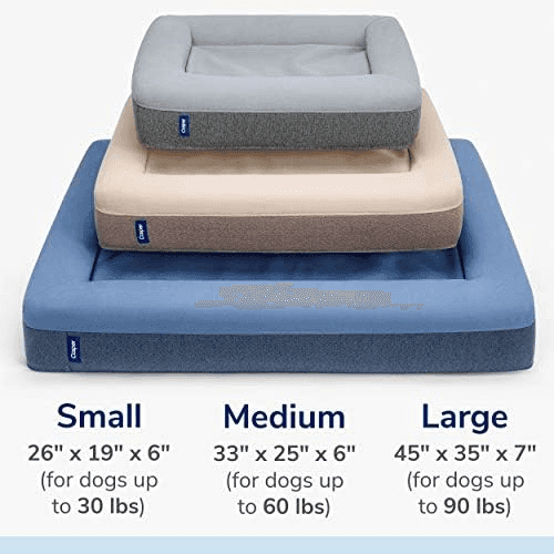 Casper Memory Foam Dog Bed, Medium, Blue image 4
