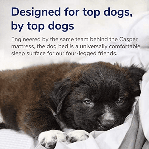 Casper Memory Foam Dog Bed, Medium, Blue image 5