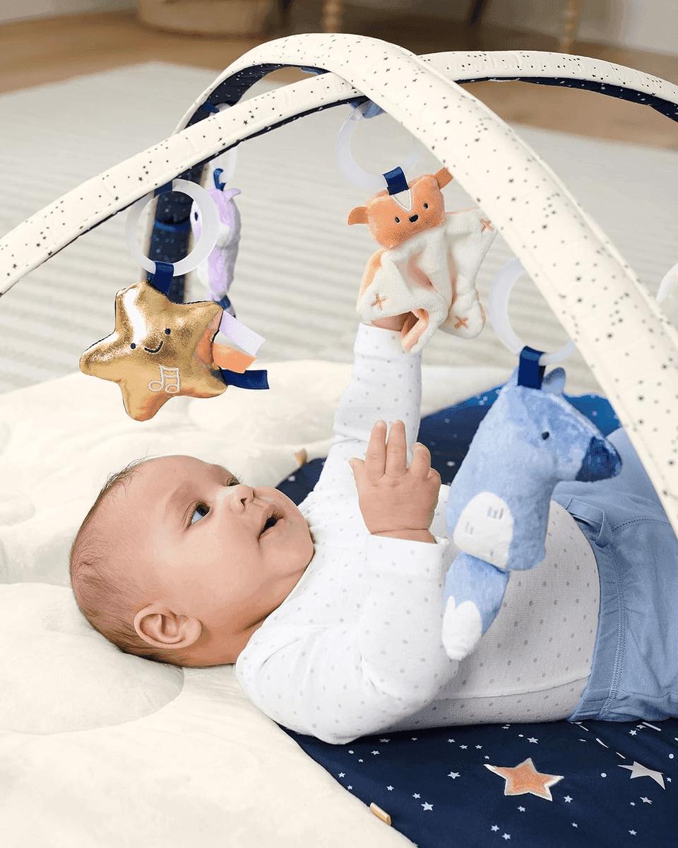 Skip Hop Celestial Dreams 3-in-1 Baby Activity Gym image 2