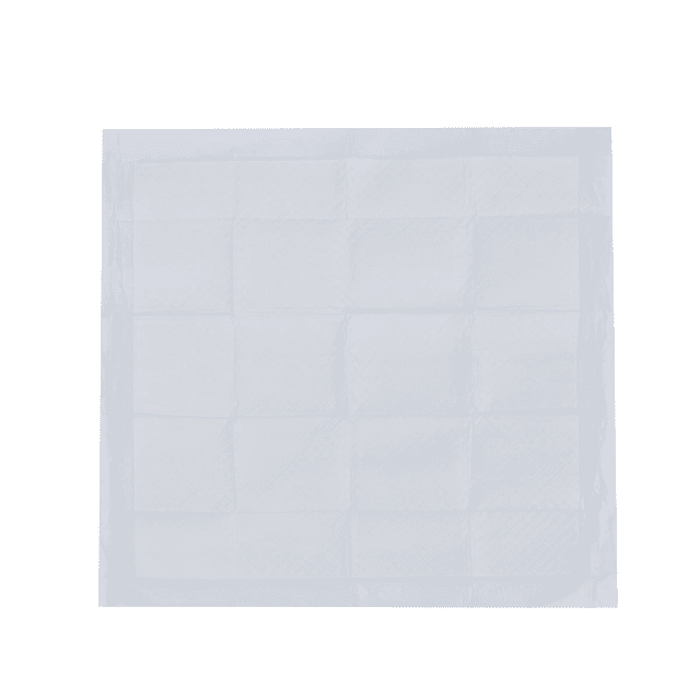 Vibrant Life Large 5-Layer Pet Training Pads, 22 in x 22 in, 50 Count image 2
