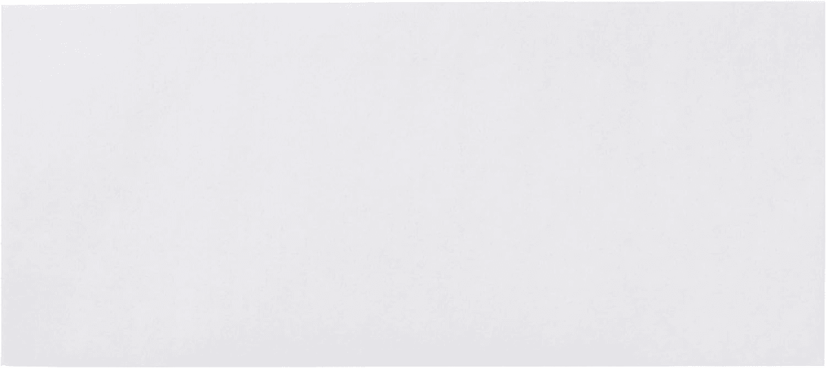 Amazon Basics #10 Security-Tinted Self-Seal Business Envelopes - 500 Pack image 3