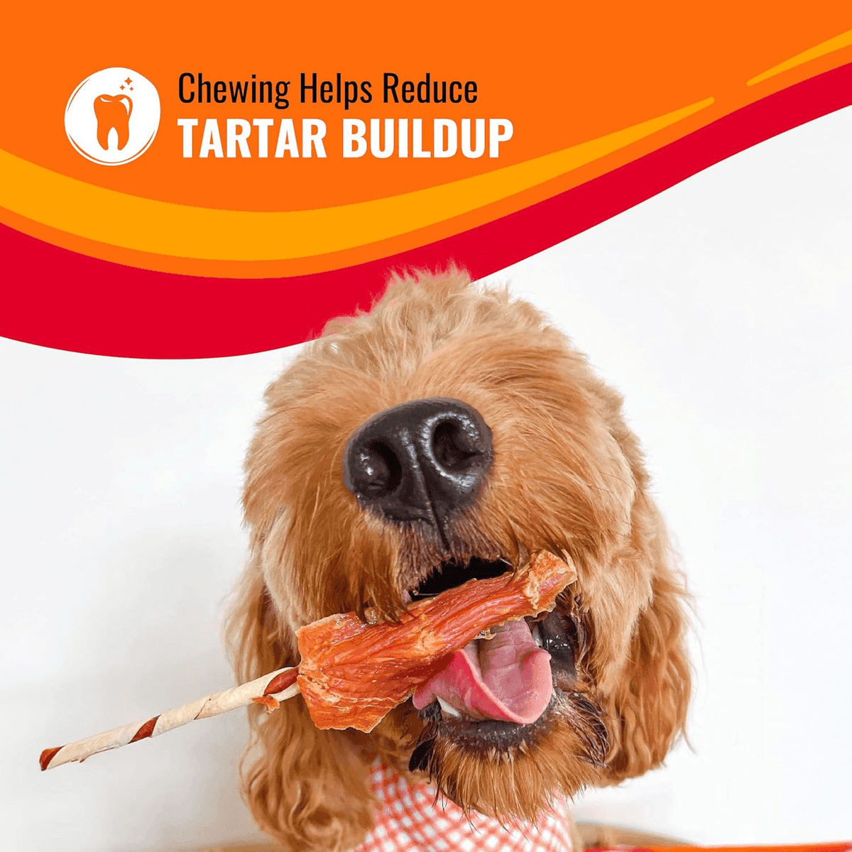 Good 'n' Fun Triple Flavor Kabobs Dog Treats, 24 oz image 5