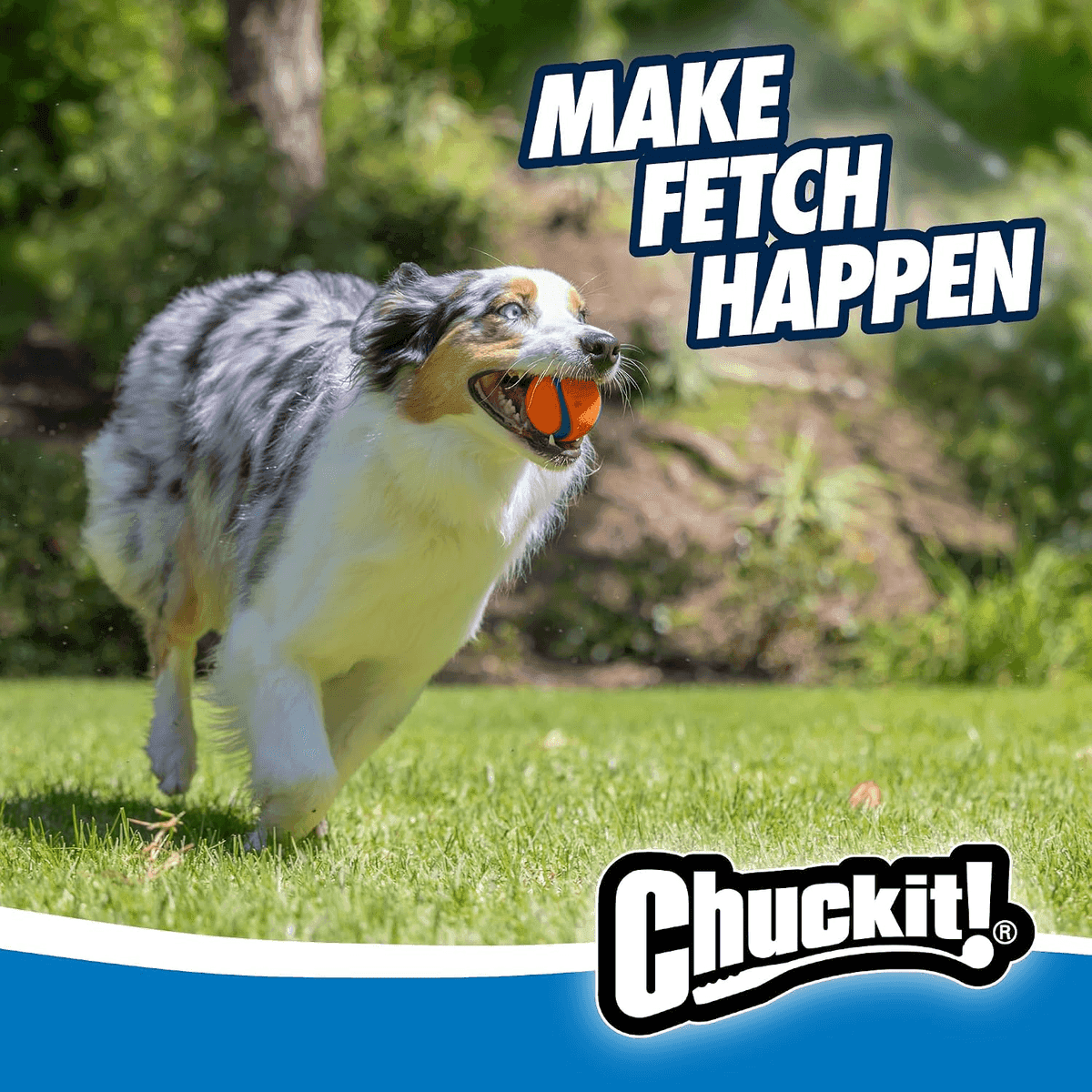 Chuckit! Ultra Ball Medium Dog Toy - 2 Pack image 3