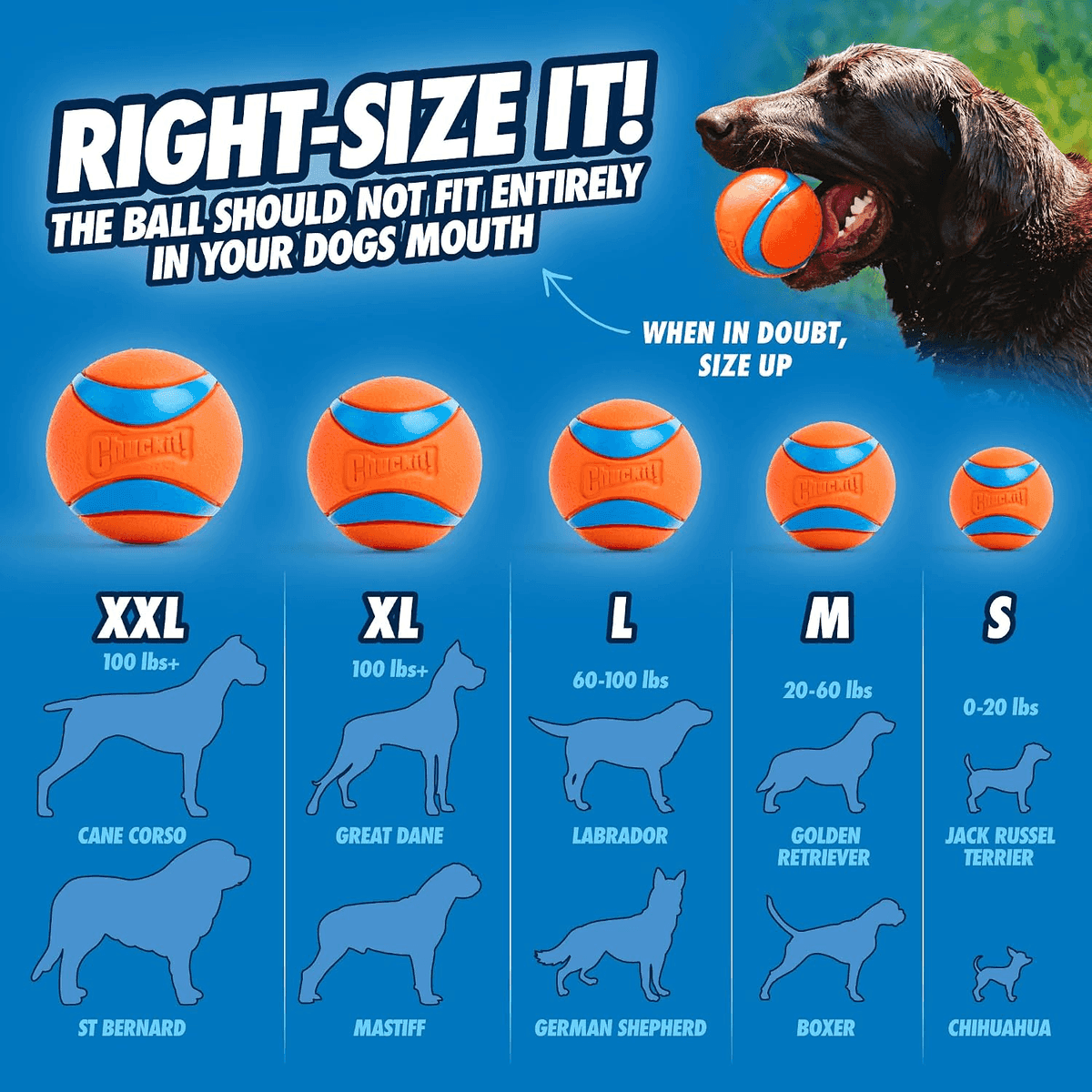 Chuckit! Ultra Ball Medium Dog Toy - 2 Pack image 5