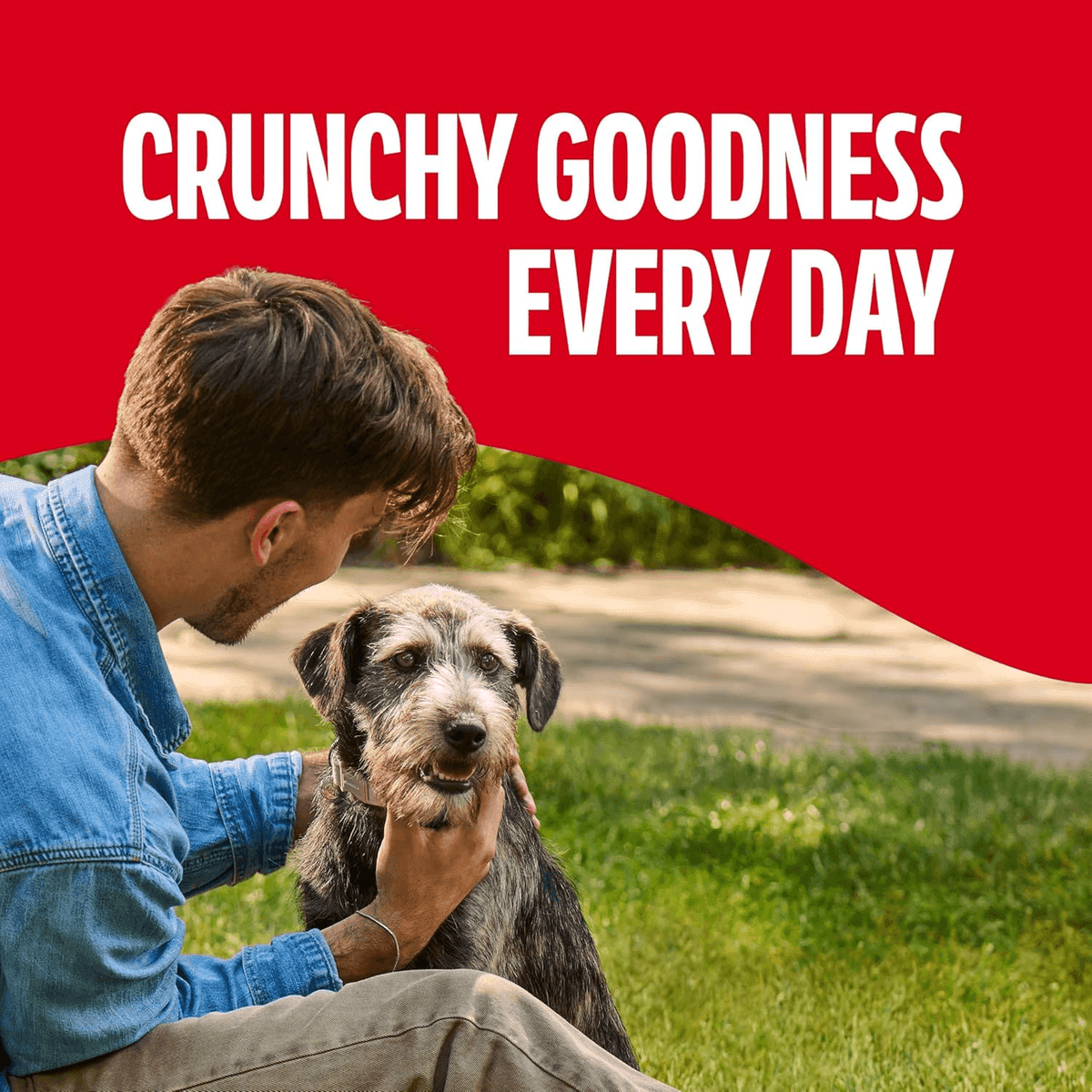 Milk-Bone Medium Crunchy Dog Treats 24 oz for $2.98 image 5