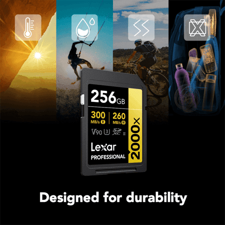 Lexar GOLD Series Professional 2000x UHS-II SDXC 256GB Memory Card image 5