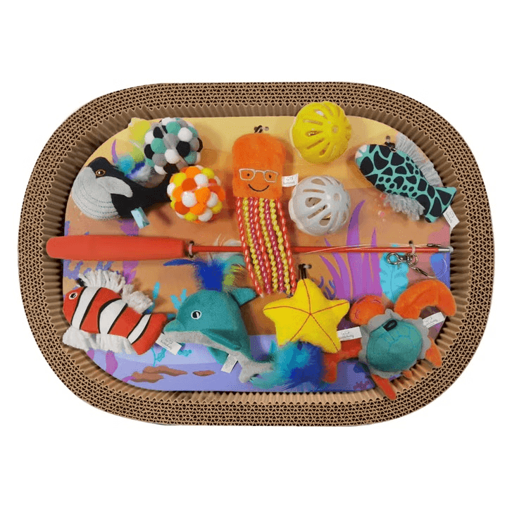 Buddy Buddy Cat Scratcher Bed and Toys, 13-piece Set - Orange