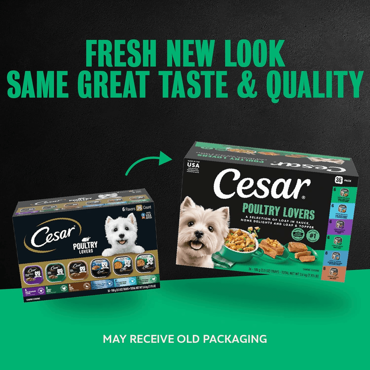 Cesar Poultry Lovers Wet Dog Food Variety Pack, 36 Trays image 2