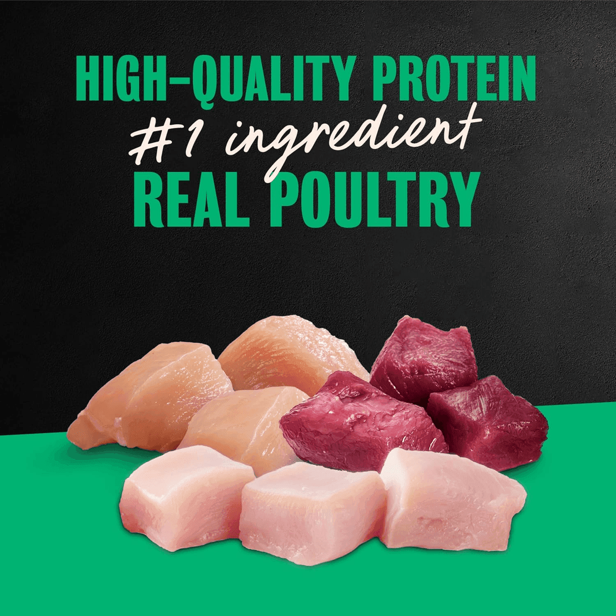 Cesar Poultry Lovers Wet Dog Food Variety Pack, 36 Trays image 4