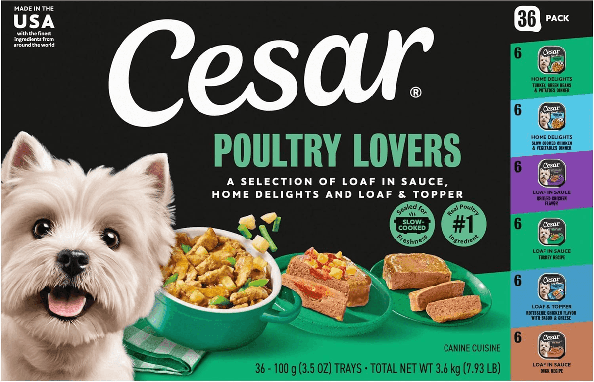 Cesar Poultry Lovers Wet Dog Food Variety Pack, 36 Trays