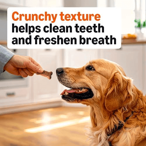Amazon Basics Gravy-Basted Crunchy Dog Biscuits, 5 lb image 4