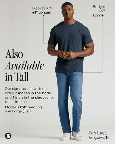 True Classic Men's Crew-Neck T-Shirt – Light Gray, Small image 4