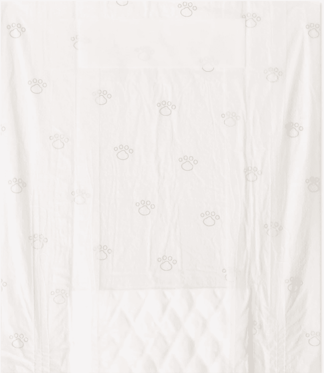 Amazon Basics Male Dog Diapers, Medium, 30 Count image 2