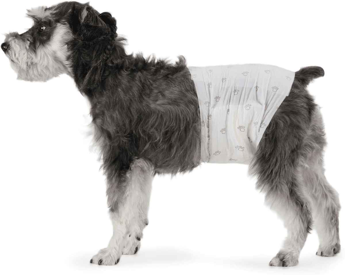 Amazon Basics Male Dog Diapers, Medium, 30 Count