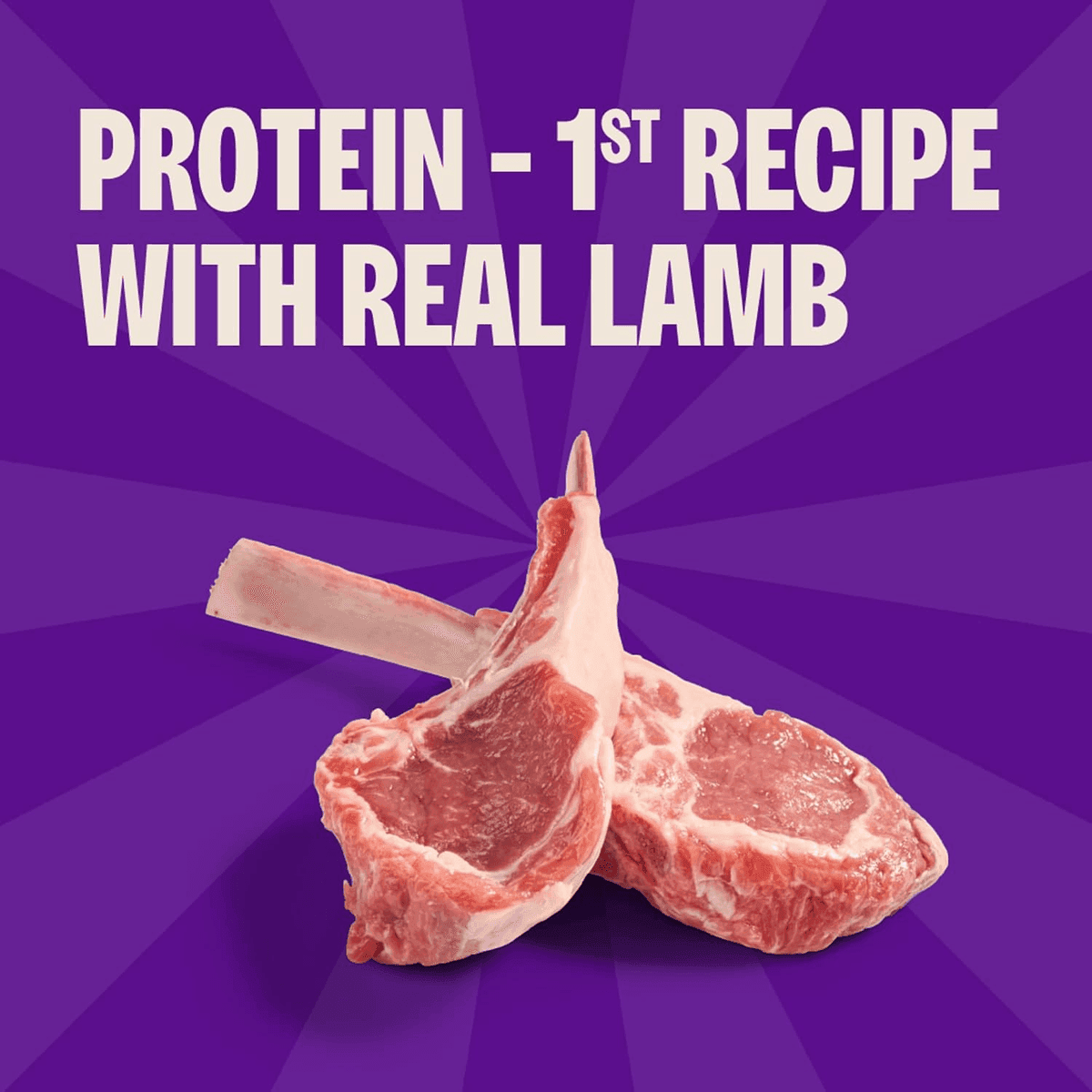 Wellness Soft Puppy Bites Lamb & Salmon Treats - 3 oz image 3