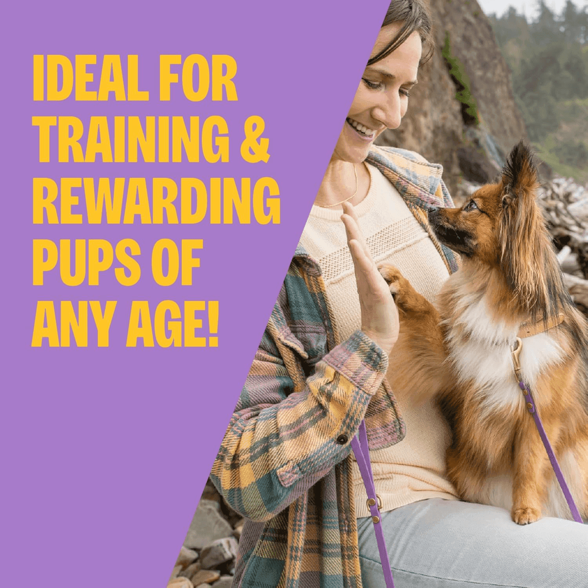 Wellness Soft Puppy Bites Lamb & Salmon Treats - 3 oz image 2