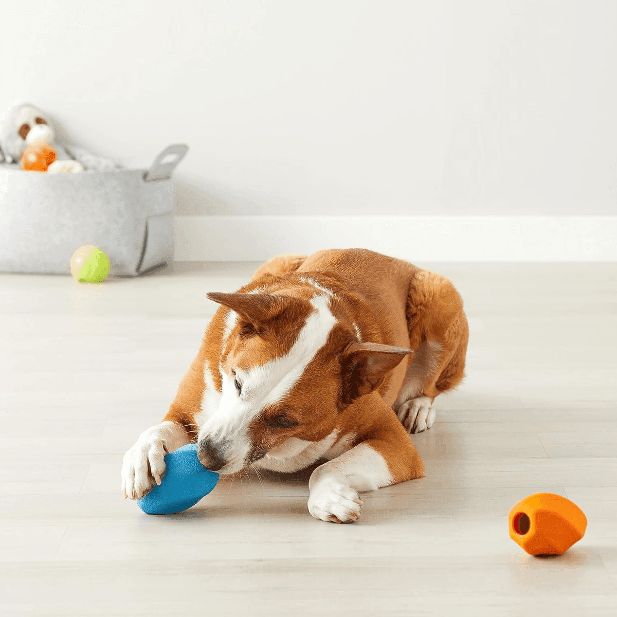 Amazon Basics Rubber Treat-Dispensing Dog Toys, Medium, 2-Pack image 2