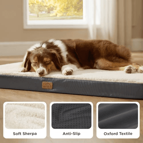 Bedsure Washable Orthopedic Dog Bed, 36 x 27 Inches, Grey image 4