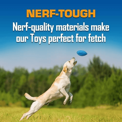 Nerf Dog 3-Piece Outdoor Fetch Toy Gift Set image 4