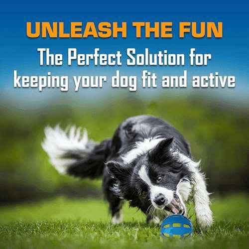 Nerf Dog 3-Piece Outdoor Fetch Toy Gift Set image 3