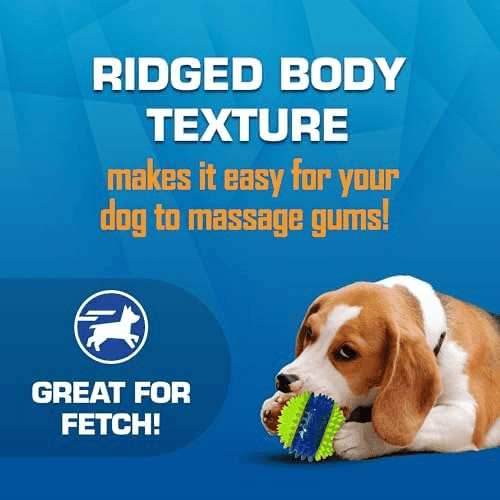 Nerf Dog 3-Piece Outdoor Fetch Toy Gift Set image 2