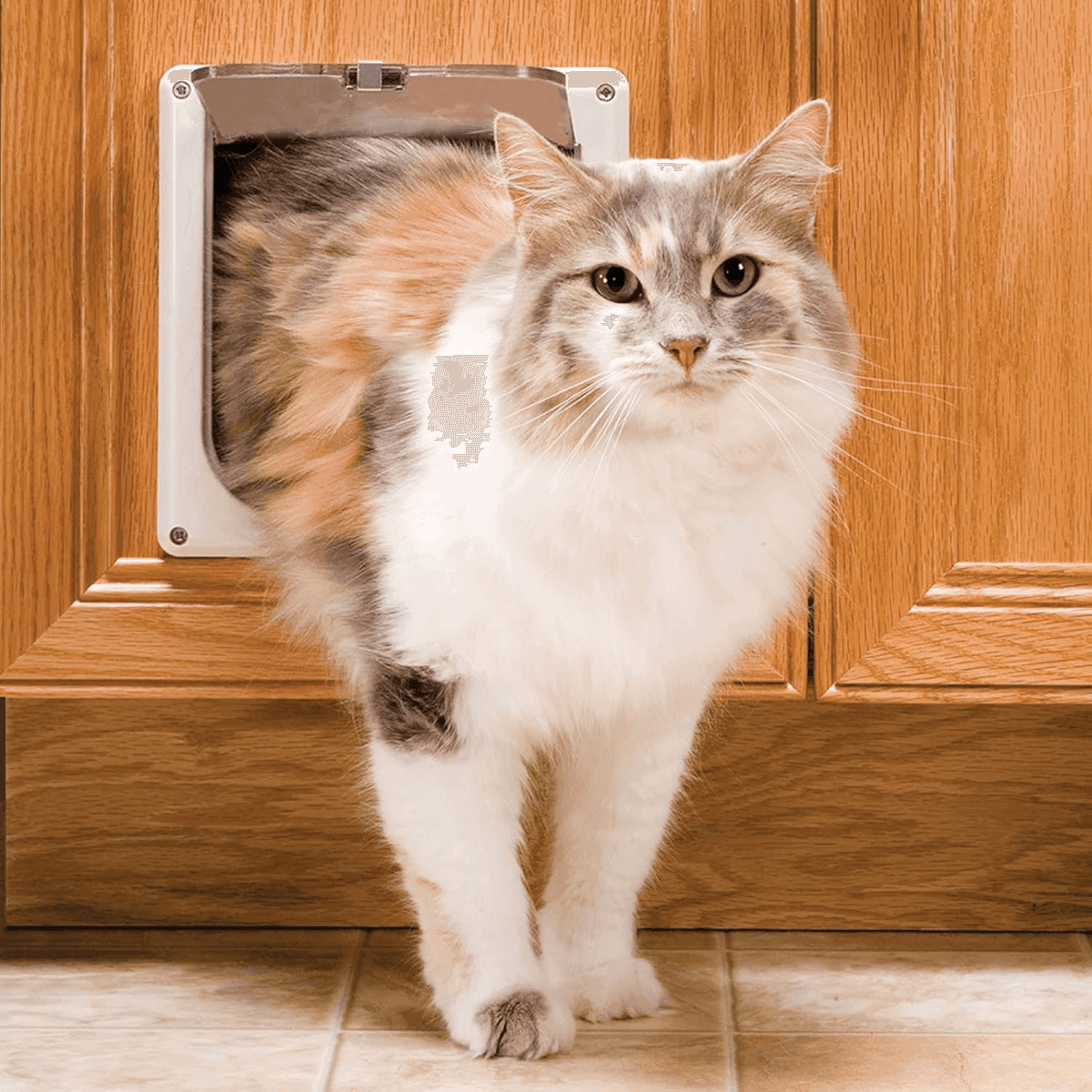 PetSafe Interior Cat Door with 2-Way Lock, White image 2