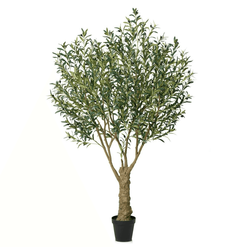 DR.Planzen 7-Ft. UV-Resistant Artificial Olive Tree - Black Planter