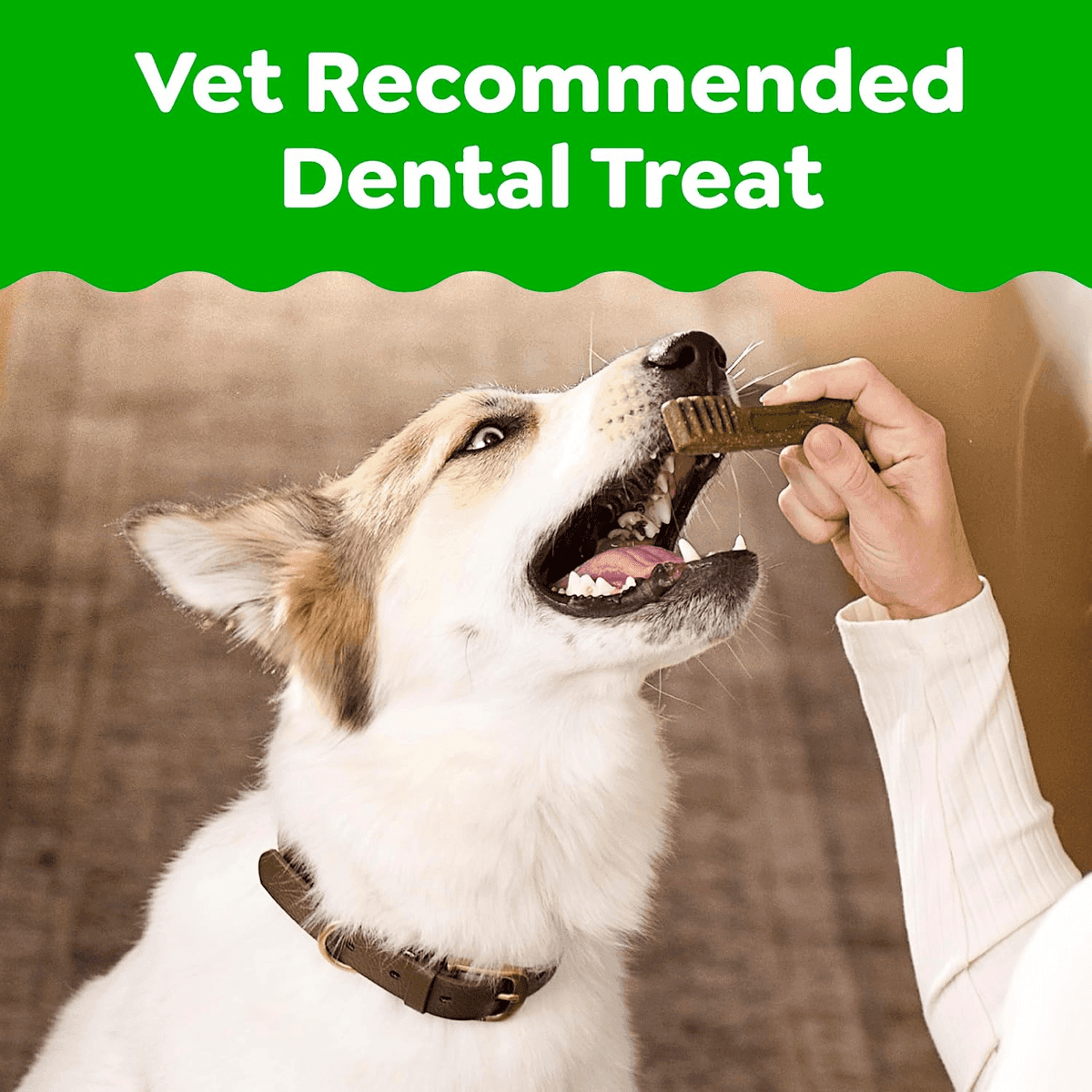 Greenies Teenie Original Dental Dog Treats, 43 Count image 3