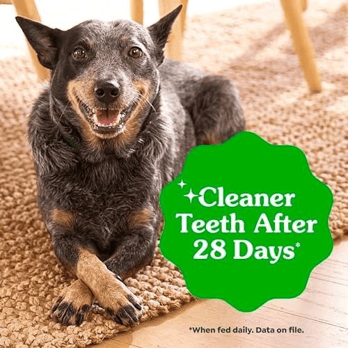 Greenies Large Dental Dog Treats, 24 Count image 4