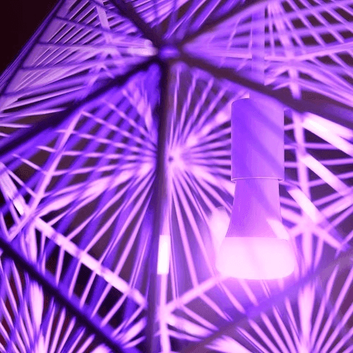 Philips Hue White and Color Ambiance A19 75W Starter Kit image 5