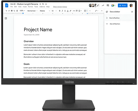 ThinkVision S22-4e 21.5-inch IPS FHD 100Hz Monitor