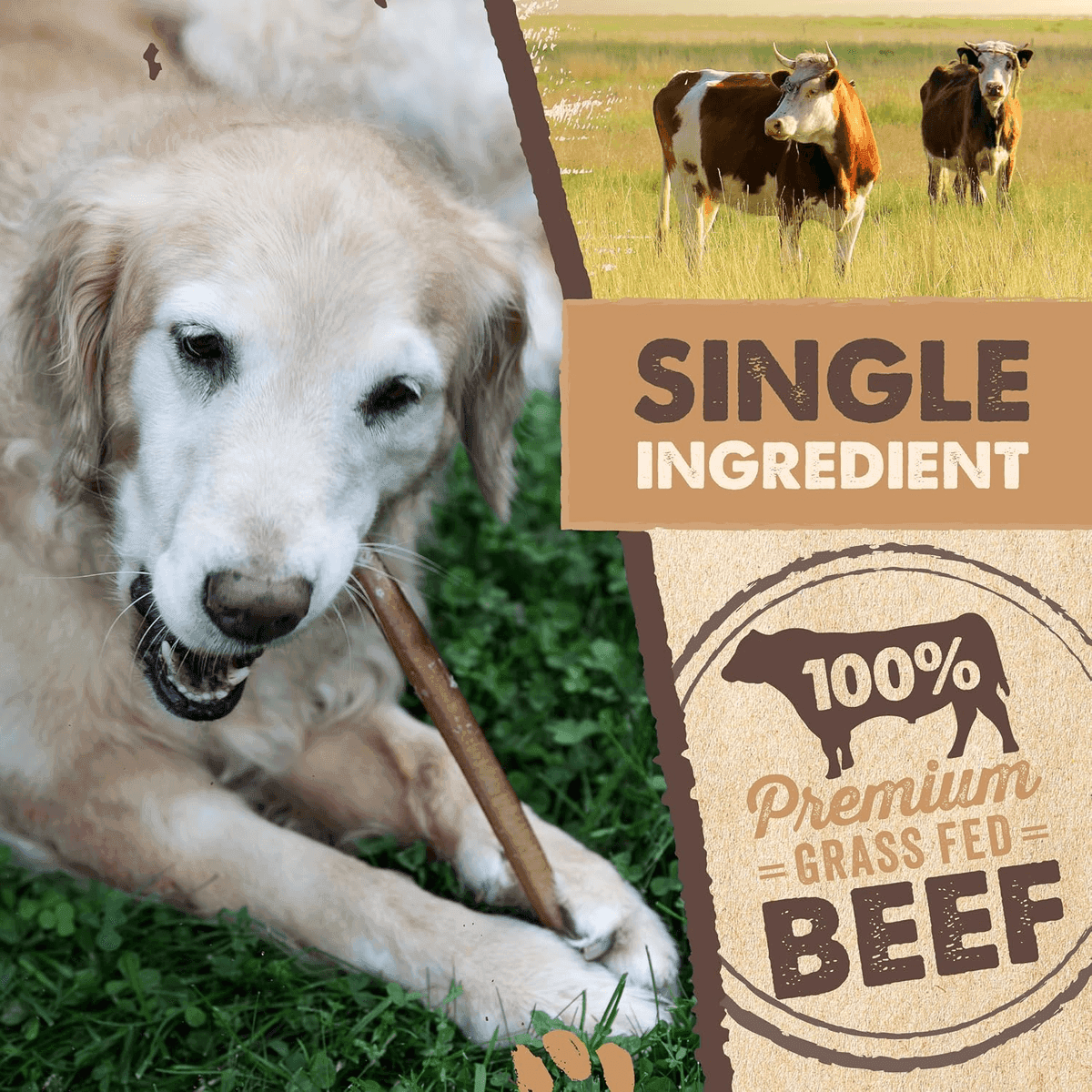 Mighty Paw 12-Inch Bully Sticks for Dogs, 5-Pack image 4