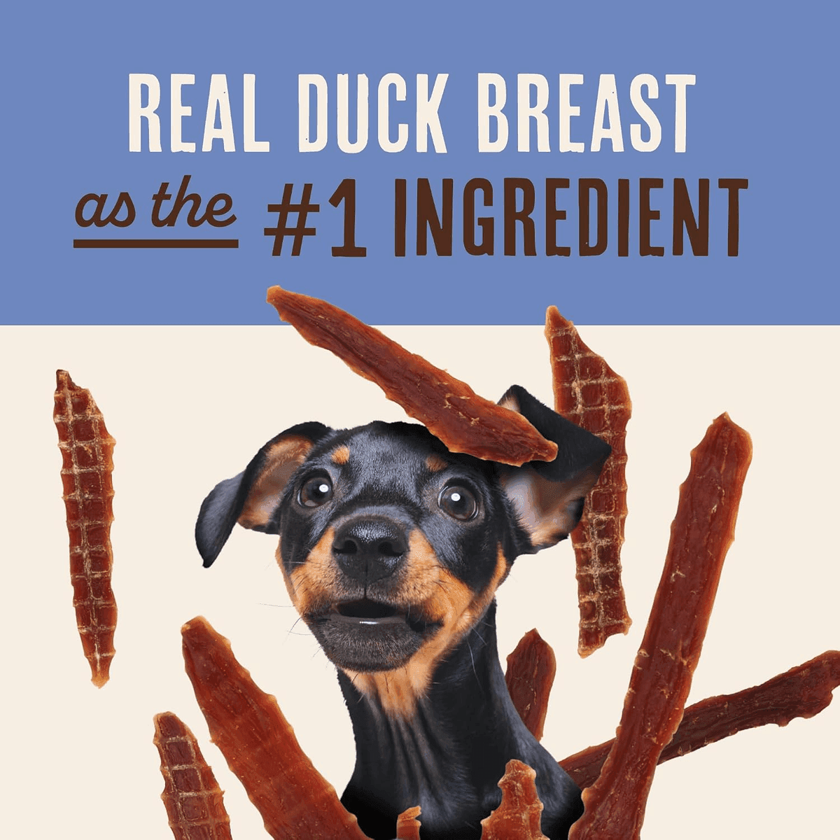 Waggin' Train Duck Jerky Dog Treats for Sensitive Stomachs - 12 oz image 4