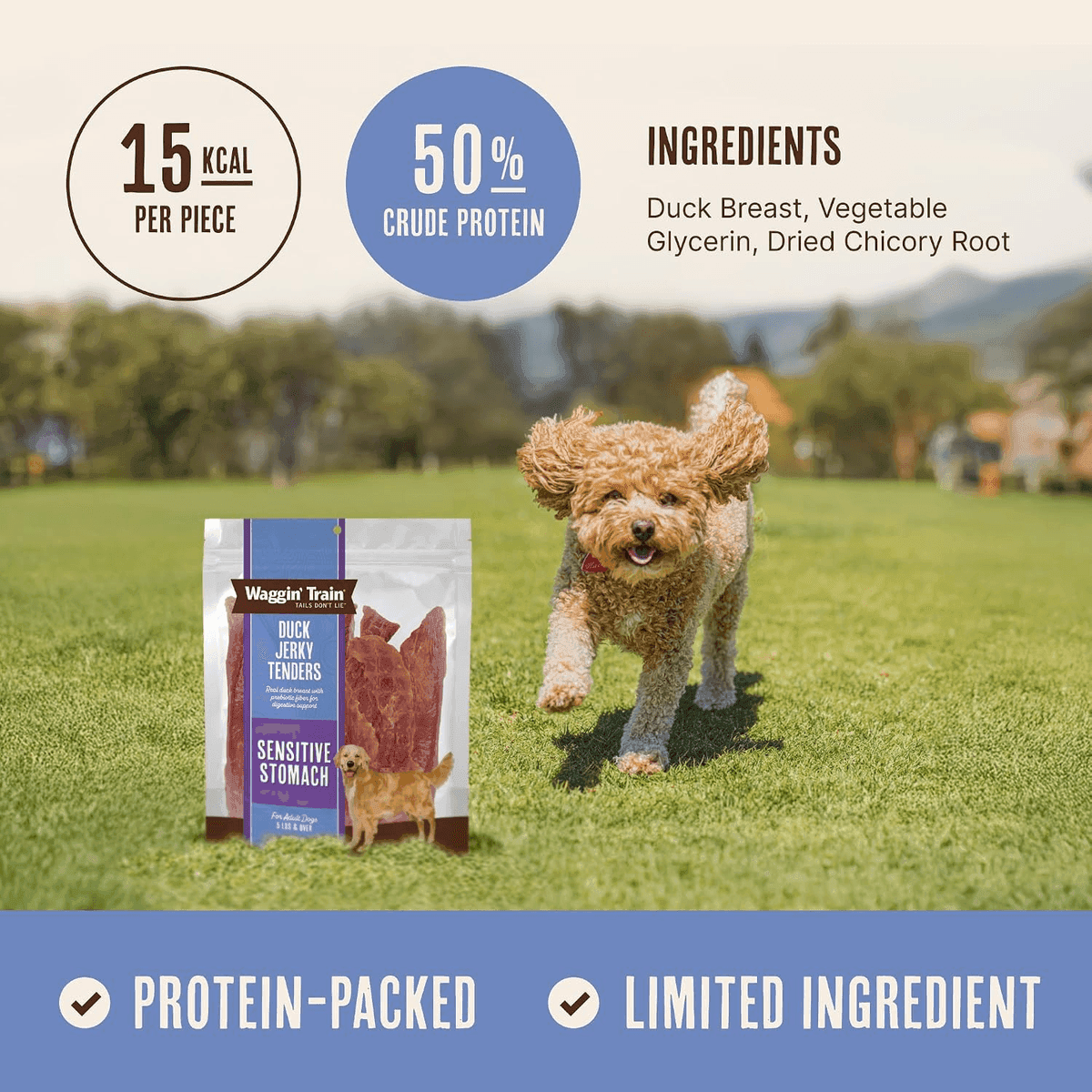 Waggin' Train Duck Jerky Dog Treats for Sensitive Stomachs - 12 oz image 3