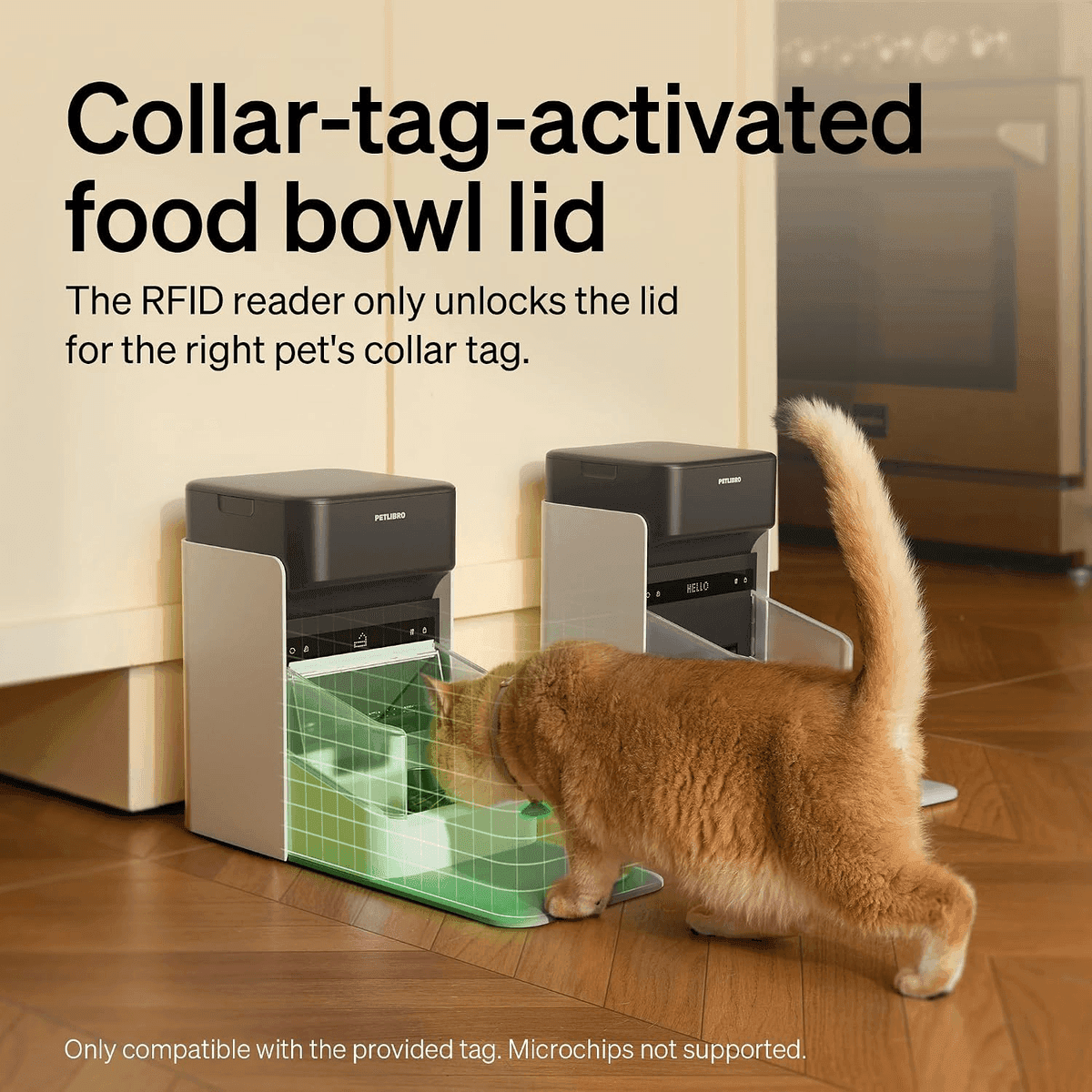 PETLIBRO RFID Automatic Cat Feeder, 3L - White image 3