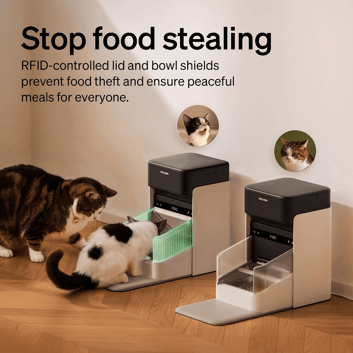 PETLIBRO RFID Automatic Cat Feeder, 3L - White image 4