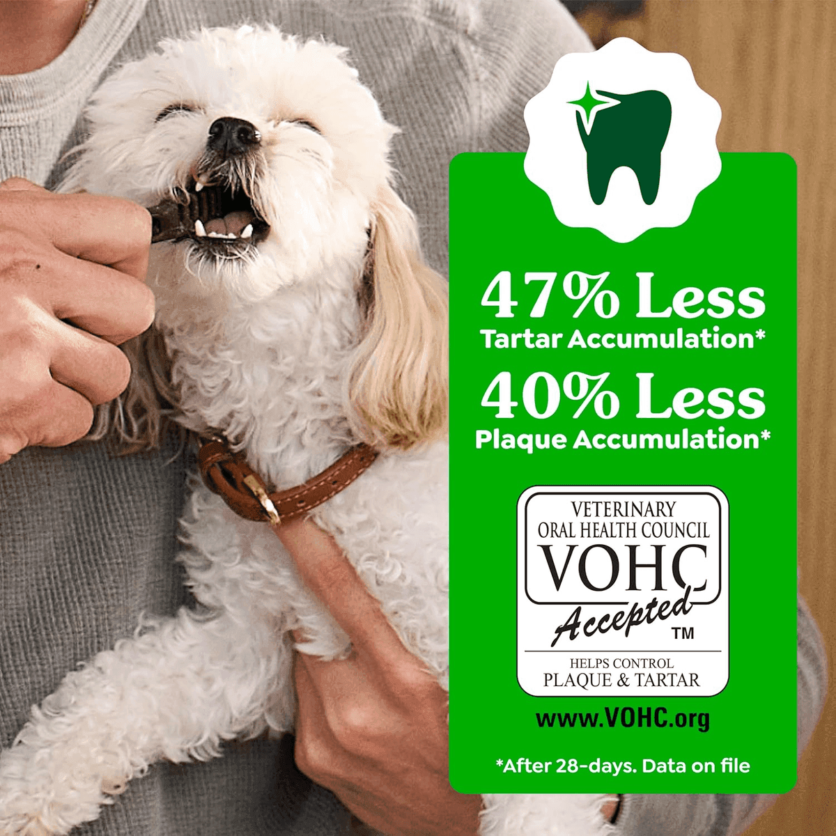 Greenies Regular Dental Dog Treats, Original, 36 Count image 5