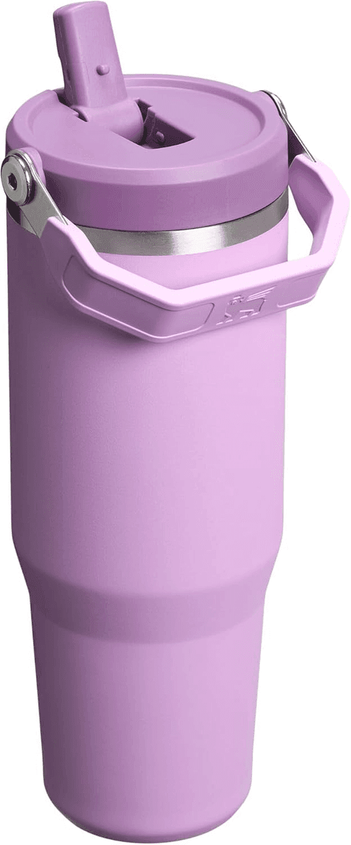 STANLEY IceFlow 2.0 30-Ounce Flip Straw Tumbler for $17.50 image 3