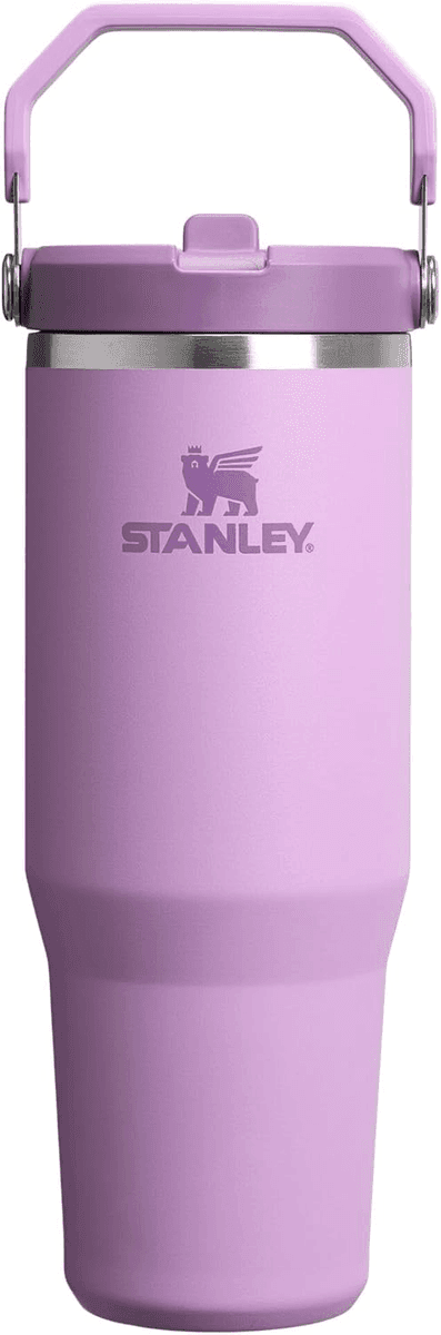 STANLEY IceFlow 2.0 30-Ounce Flip Straw Tumbler for $17.50