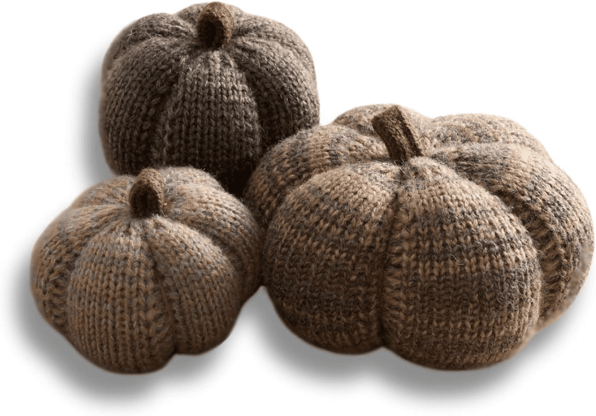 Your Heart's Content 3-Piece Knit Pumpkin Set for $8.99