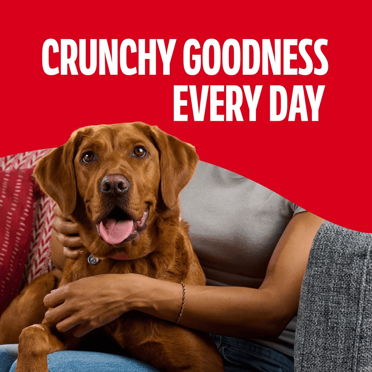 Milk-Bone Flavor Snacks Large Dog Biscuits, 24 oz Box image 3
