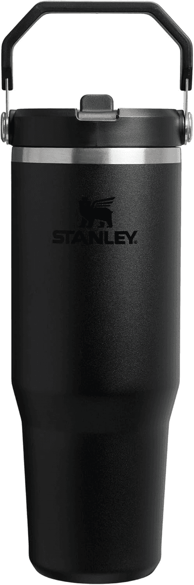 STANLEY IceFlow 2.0 30-oz Flip Straw Tumbler - Black