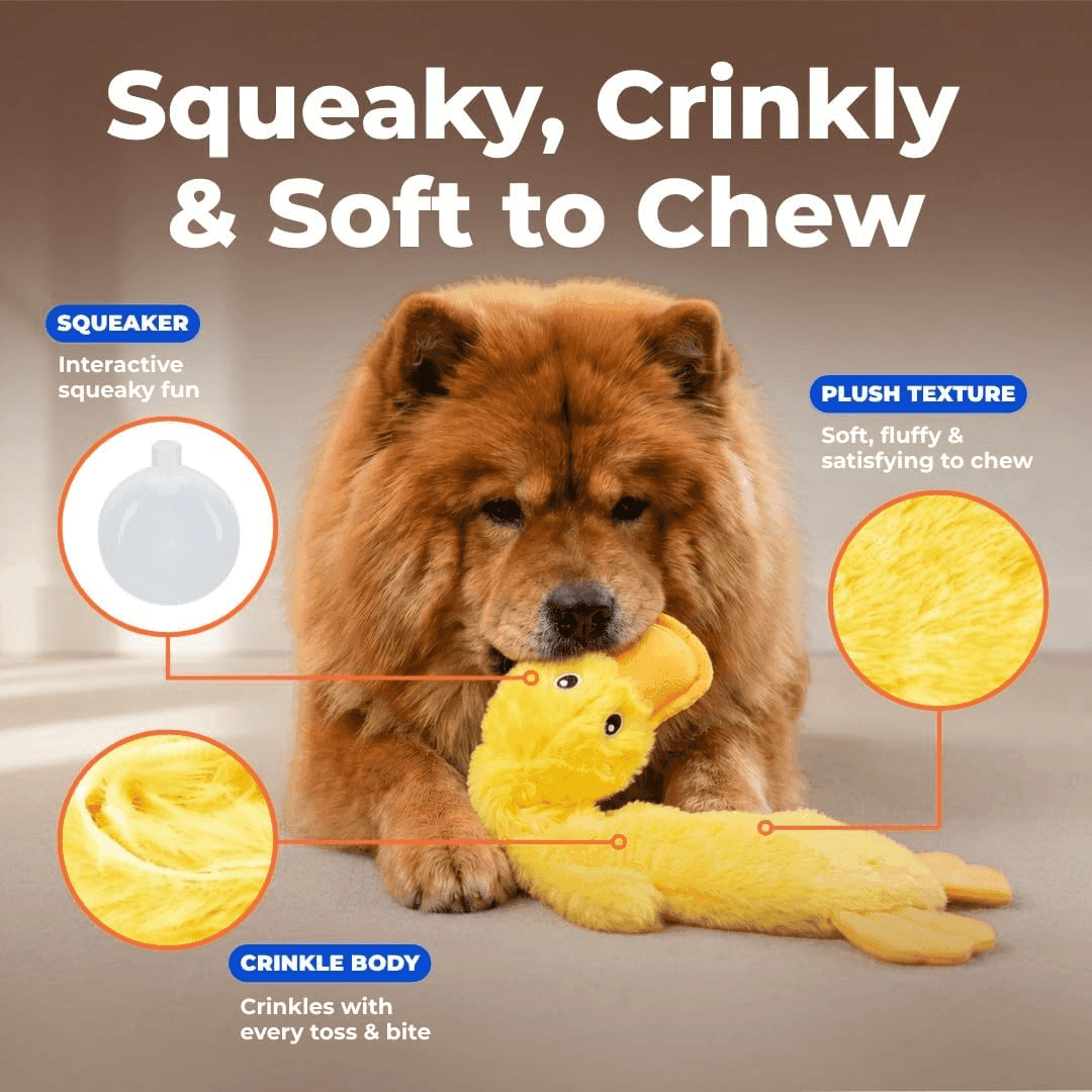 Best Pet Supplies Crinkle Duck Squeaky Dog Toy, Yellow image 3
